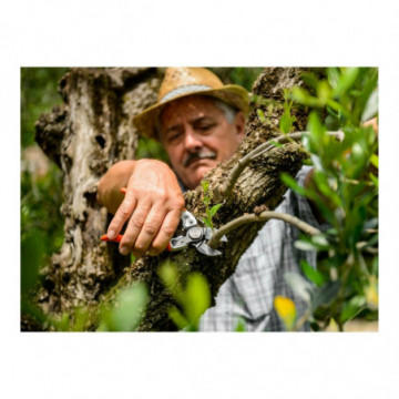 STOCKER – Forbice potatura Ergo light 21 art. 376