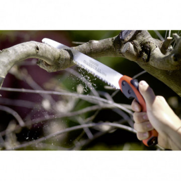 SEGHETTO DRITTO CON FONDINA MAESTRAL 250 STOCKER art.1514