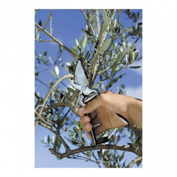 Stocker – Forbice da potatura in acciaio 23 cm cod. 386_1