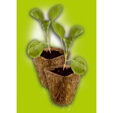 Stocker – Set 12 vasetti in fibre di torba con 12 fori art.9635-1